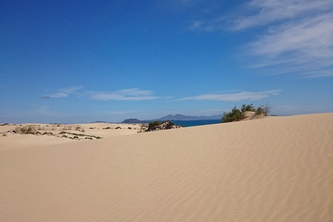 What to do in Corralejo? Activities for all tastes
